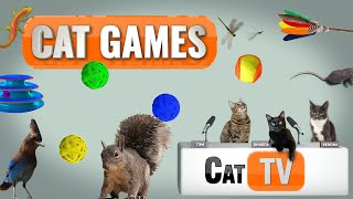 Cat Games  Ultimate Cat TV Compilation Vol 3  🐱 [upl. by Sax]