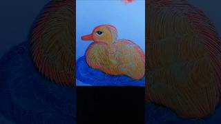 Drawing duck with pastel ✨ youtubeshortvidioduck [upl. by Madlen]