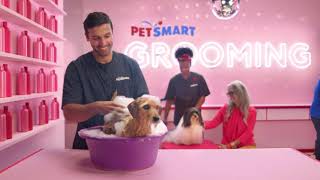 PetSmart Services All Under One Roof [upl. by Arianna]