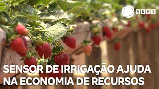 Sensor de irrigação ajuda na economia de recursos [upl. by Egerton]