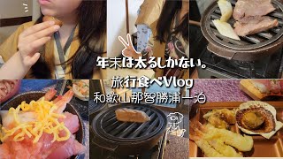 【Vlog】那智勝浦一泊二日年末旅行ホテルのバイキングで爆食してきたよ [upl. by Fariss]