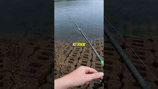 Is the Medium Sinking Hangover Shad Good bassfishing shorts [upl. by Ruthie]