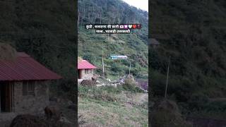 कुंडी  बजयाणा की छानी 💌💟 🤍❤️📍 नाल्ड  भटवाड़ी उत्तरकाशी Virendra Rajput Garhwali Song Uttarakhandi [upl. by Ahserb]