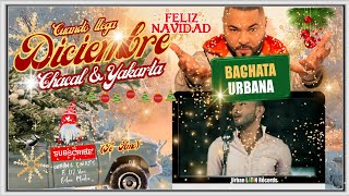 CHACAL ❌ YAKARTA ► CUANDO LLEGA DICIEMBRE 🌴 ❤️ BACHATA URBANA🌴 ❤️ FELIZ NAVIDAD TE AMO [upl. by Stoddart]