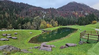 Un saluto autunnale per augurarvi un bellissimo weekend dalla natura del Laghetto di Valcanale🎉 [upl. by Animlehliw]