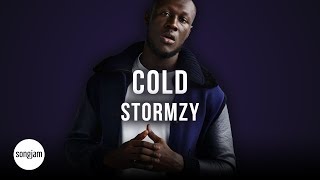 Stormzy  Cold Official Karaoke Instrumental  SongJam [upl. by Hayott]