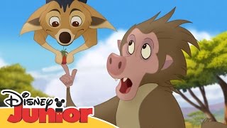 Løvenes garde synger Sjakalstil  Disney Junior Norge [upl. by Marsland57]