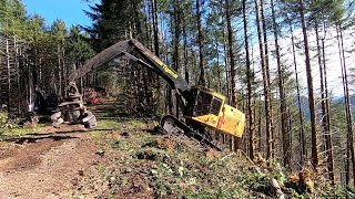 Logging Oregon Coast Range Tethering part 7 [upl. by Adnahcir]