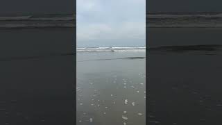 Wildwood NJ Beach and ocean 2024 [upl. by Angel392]