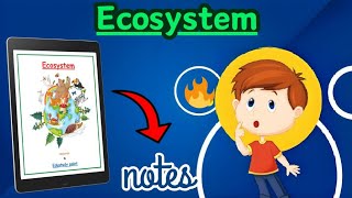 Ecosystem Class 12th Biology chapter 14 Best NOTES  Edustudypoint [upl. by Thurstan854]