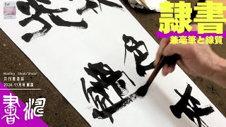 【書道】 隷書作品の書き方＊”兼毫筆と線質”＜書濤2024 11月号 解説⑤条幅 隷書＞半切 半折 書道作品制作 [upl. by Esalb]