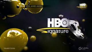 Iron Jawed Angels  HBO Signature Intro [upl. by Lottie]