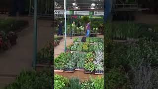 Plantas da feira part 4 [upl. by Demha]