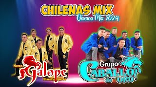 Grupo Galope ft Grupo Caballo de Oro  Puras Chilenas De Oaxaca Mix  Chilenas Nuevas 2024 [upl. by Zora]