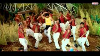 Bhadra Video Songs  Erra Koke Song  Ravi tejaMeera jasmine [upl. by Lundberg846]