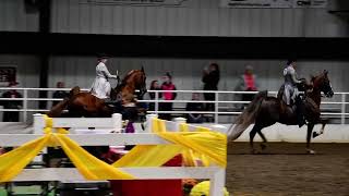 Kelley and Little Blue in Class 118  ASB Park Horse Amateur Championship at Spooktacular [upl. by Reade]