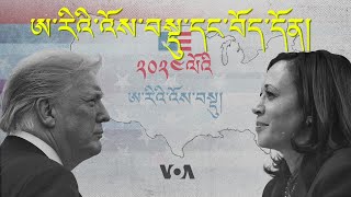 US Elections and its implication for Tibet [upl. by Fanya891]