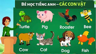 Giọng mỹ  Bé học tiếng anh con vật  Bé tập nói các con vật bằng tiếng Việt  Anh  Thanh nấm [upl. by Aneem]