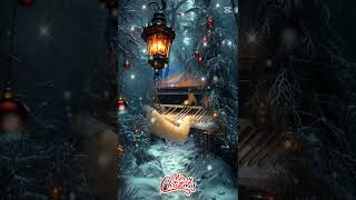 Merry Christmas with Chopin Nocturne Eb Major [upl. by Ilrac]