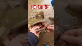 His New PERSONAL BEST fishing fish catfish fishinglife fishonmyfriends quickcatchandrelease [upl. by Shoshanna13]