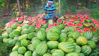 Find WATERMELON in the Village Land Juice Drinking Delicious VILLAGE HUNTER [upl. by Jaquith410]