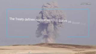 What is the Treaty on the NonProliferation of Nuclear Weapons [upl. by Mozelle184]