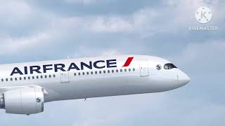 Air France Flight 8969 Alternate Animation [upl. by Amadas511]