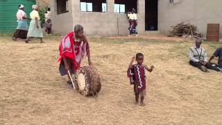 Swazi Celebration Traditional Dancer [upl. by Eldrid]