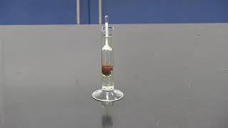 Urinalysis How to use the Hydrometer [upl. by Spindell]