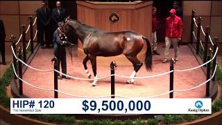 The November Sale 2017 SONGBIRD sells for 95M [upl. by Ulric447]