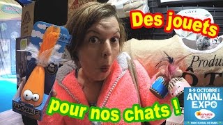 A la RECHERCHE des JOUETS pour nos CHATS à ANIMAL EXPO 2016 [upl. by Norraj]