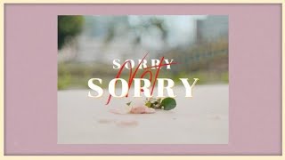 Sorry Not Sorry Official MV  Lu Hpring [upl. by Aehta]