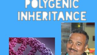 POLYGENIC INHERITANCE [upl. by Perloff]