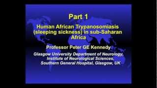 Distinguished Lecture Series Professor Peter KennedyPart 1 [upl. by Ytirahc]