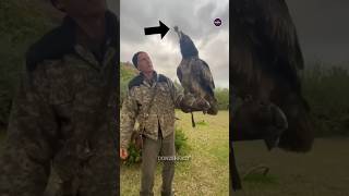 Vulture Swallows Massive Bone in One Gulp 😰 [upl. by Ehtyde]