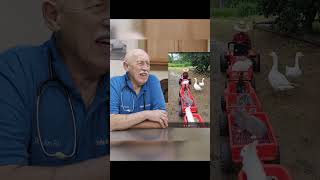 Dr Pol Reacts  So Cute that Your Heart Will Grow Three Sizes drpol funnyanimalsvideo cuteness [upl. by Arlynne]