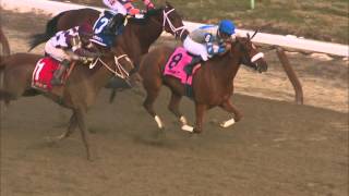 Post Race Interview  Busanda Stakes with Marialice Coffey [upl. by Kalb]