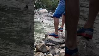 Traditional Fishing in River  Trout fishing troutriver fishinggear youtubeshorts [upl. by Ottilie325]