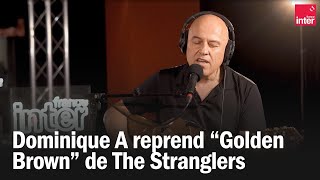 Dominique A reprend quotGolden Brownquot de The Stranglers [upl. by Hermy]