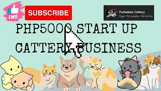 PHP5000 START UP CATTERY BUSINESS [upl. by Alisun619]