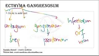 3 11 ecthyma gangrenosum mp4  Dermatology [upl. by Borras]