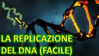 LA REPLICAZIONE DEL DNA FACILE  Come viene replicato il nostro DNA  GENETICA FACILE  n°5 [upl. by Philomena90]