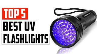 Top 5 Best UV Flashlights To Detect Stains And Fungi In 2023 [upl. by Aryamoy]