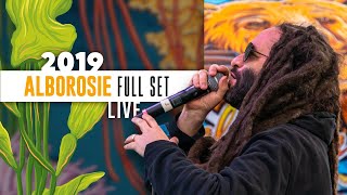 California Roots X  Alborosie Full Set [upl. by Shult]