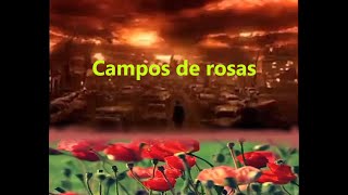 THE TRAVELLER Campos de rosas [upl. by Essined971]