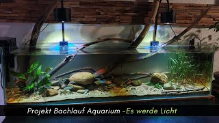 Update Bachlaufaquarium Lominie Asta 120 die zweite Es werde Licht aquaristik [upl. by Leunammi]