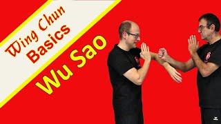 Training der Wu Sao im Wing Chun Warum du das keinesfalls vernachlässigen solltest [upl. by Lance]