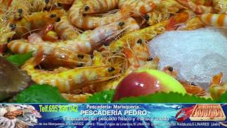 SPOT PESCADERIA PEDRO LINARES JAÉN [upl. by Hardin]