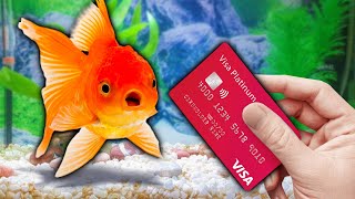 I Gave My Goldfish My Credit Card to Spend [upl. by Cassey463]