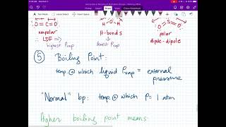 Vapor Pressure and Boiling Point [upl. by Stratton228]